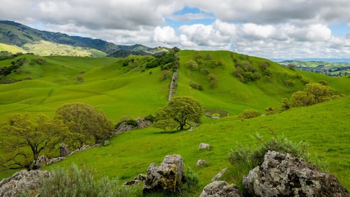 Thunderstorm over Mount Diablo State Park