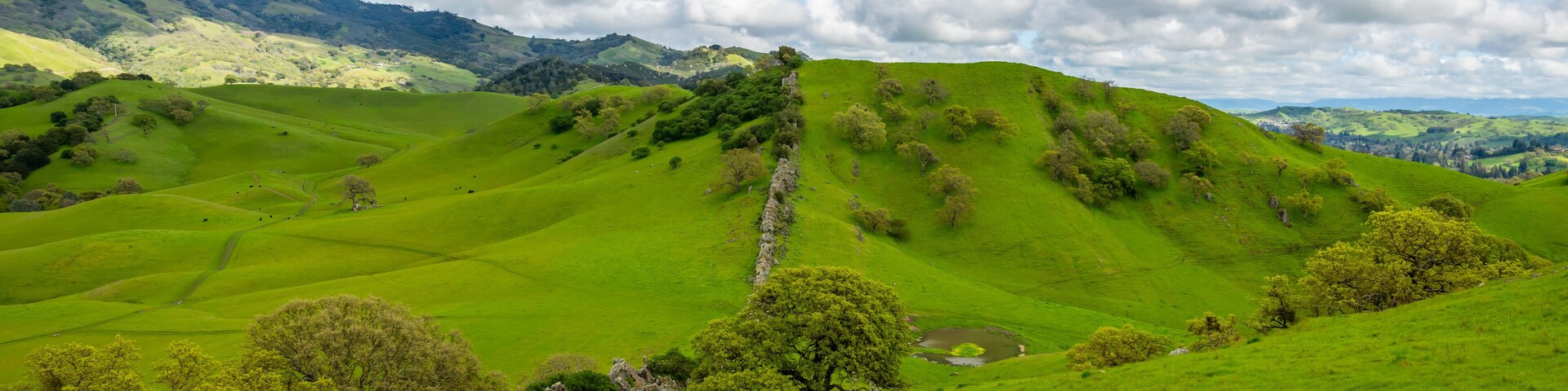 Thunderstorm over Mount Diablo State Park