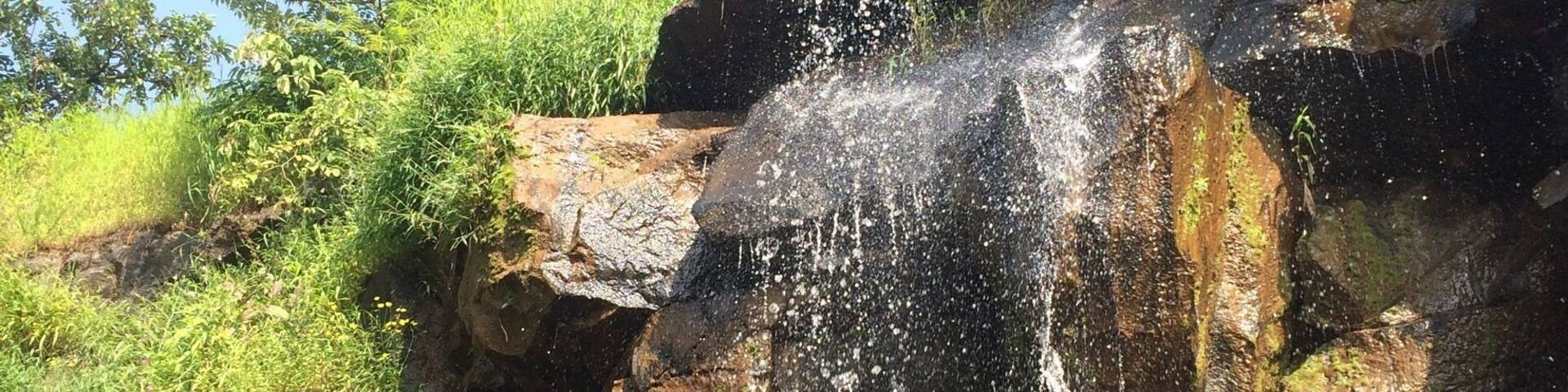 Isn't such site soothing especially when it's a dry drought?