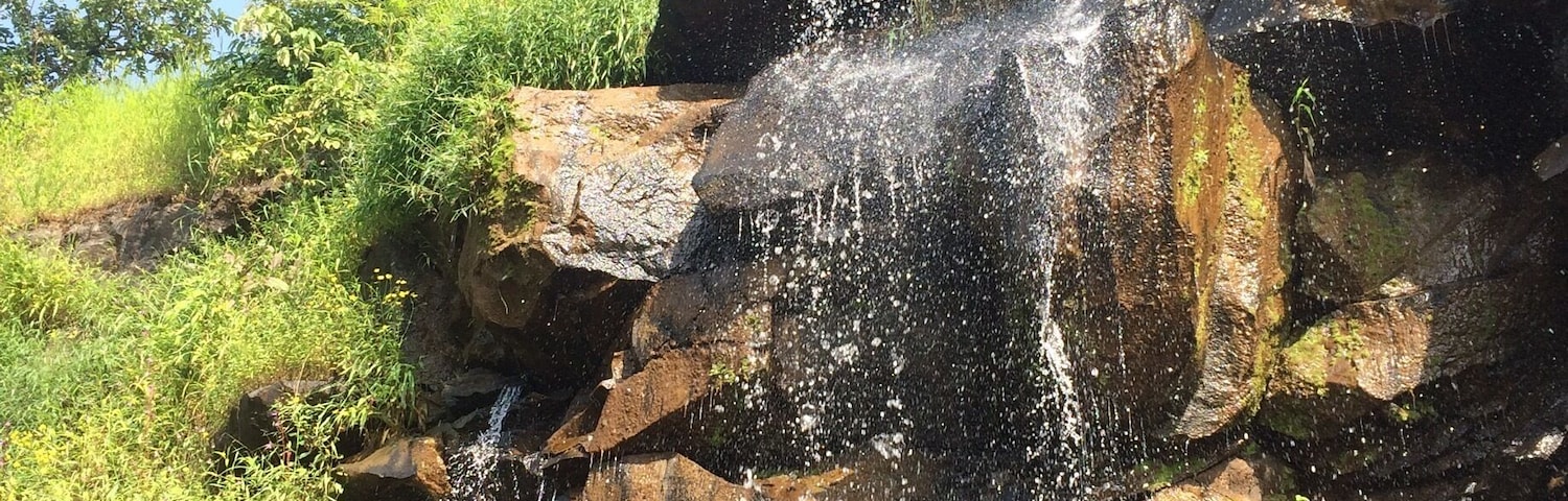 Isn't such site soothing especially when it's a dry drought?