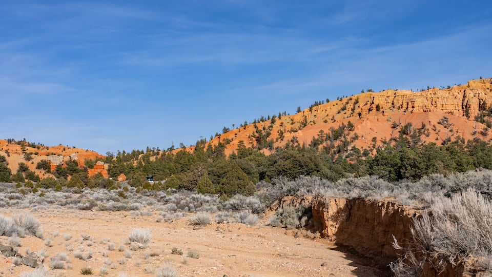 entrance to Red Canyon, Panguitch, Garfield County, Utah. Claron Formation, (Tcp) Pink member. Claron Formation, (Tcp) Pink member; with Stream alluvium. Sevier fault
