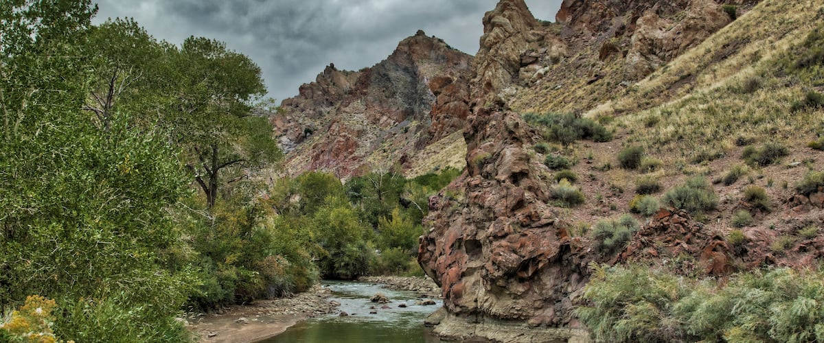 A river flowing through a rocky canyon with green vegetation and yellow flowers.