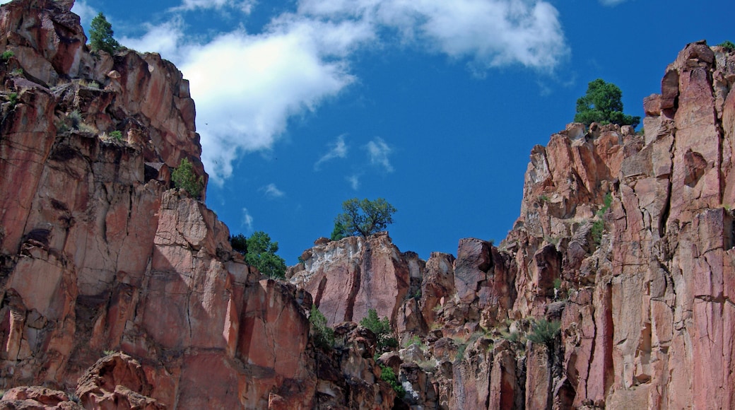 Amazing where trees will grow. #OnTheRoad