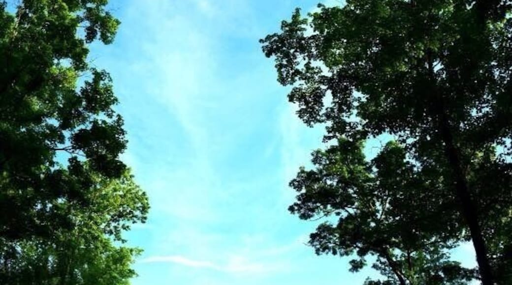 What a beautiful restful retreat center.