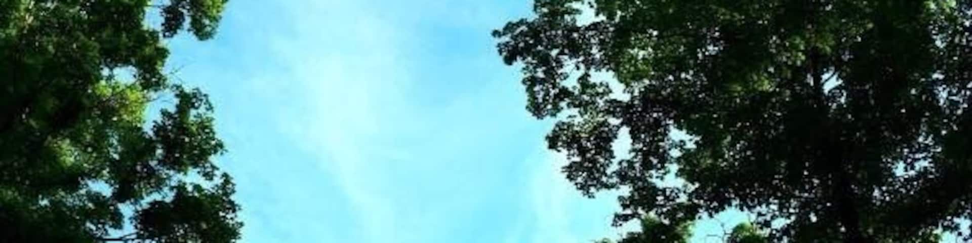 What a beautiful restful retreat center.