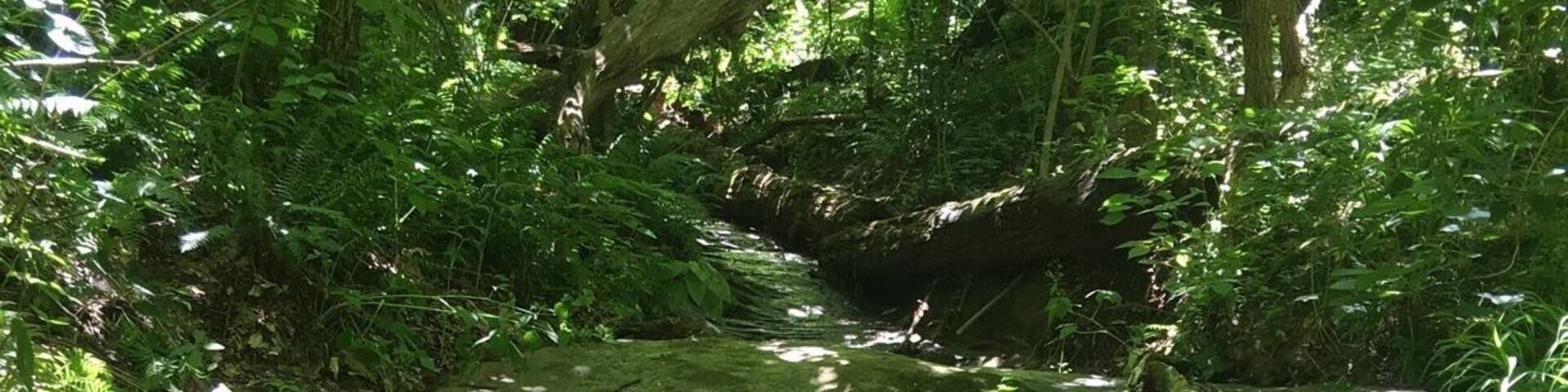 Amazing surprises around every corner.
#TakeAHike