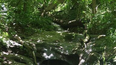 Amazing surprises around every corner.
#TakeAHike