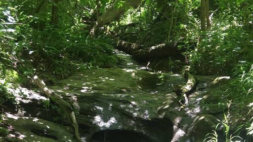 Amazing surprises around every corner.
#TakeAHike