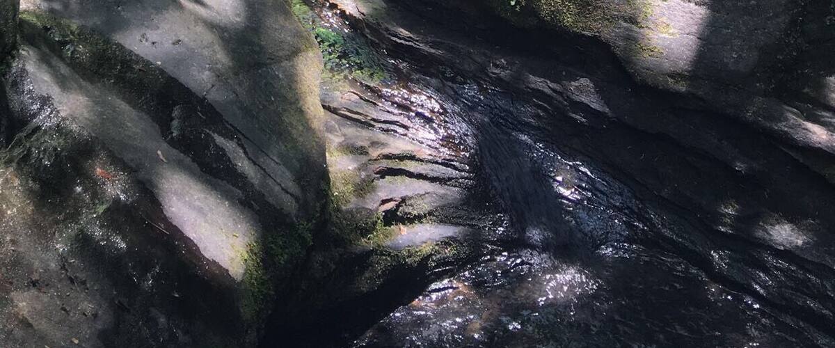 Who needs a trail when you can climb this?!
#TakeAHike