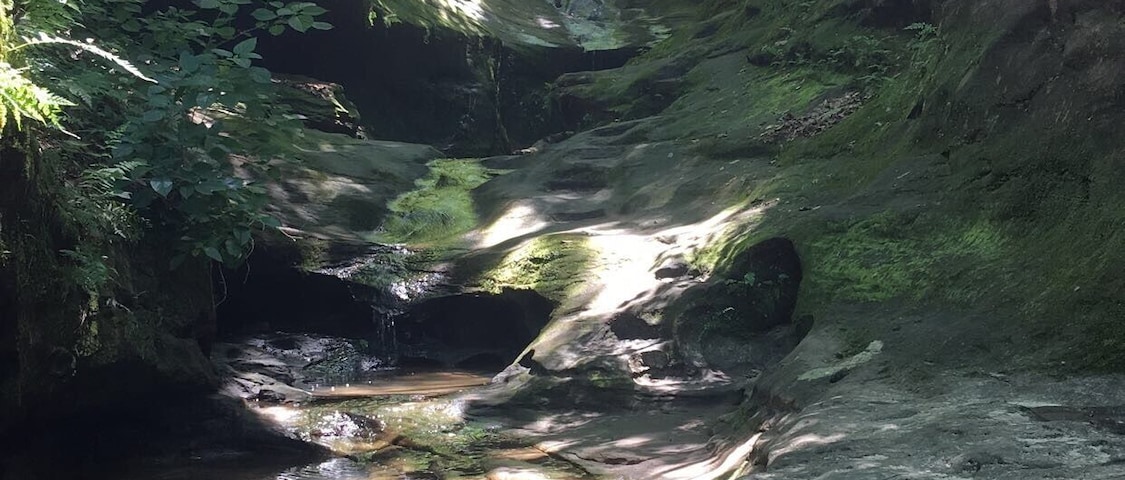 Who needs a trail when you can climb this?!
#TakeAHike