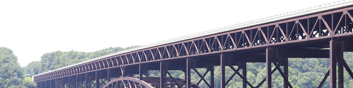 Eine große Stahlbrücke mit einer markanten Bogenkonstruktion über einem dichten Wald.