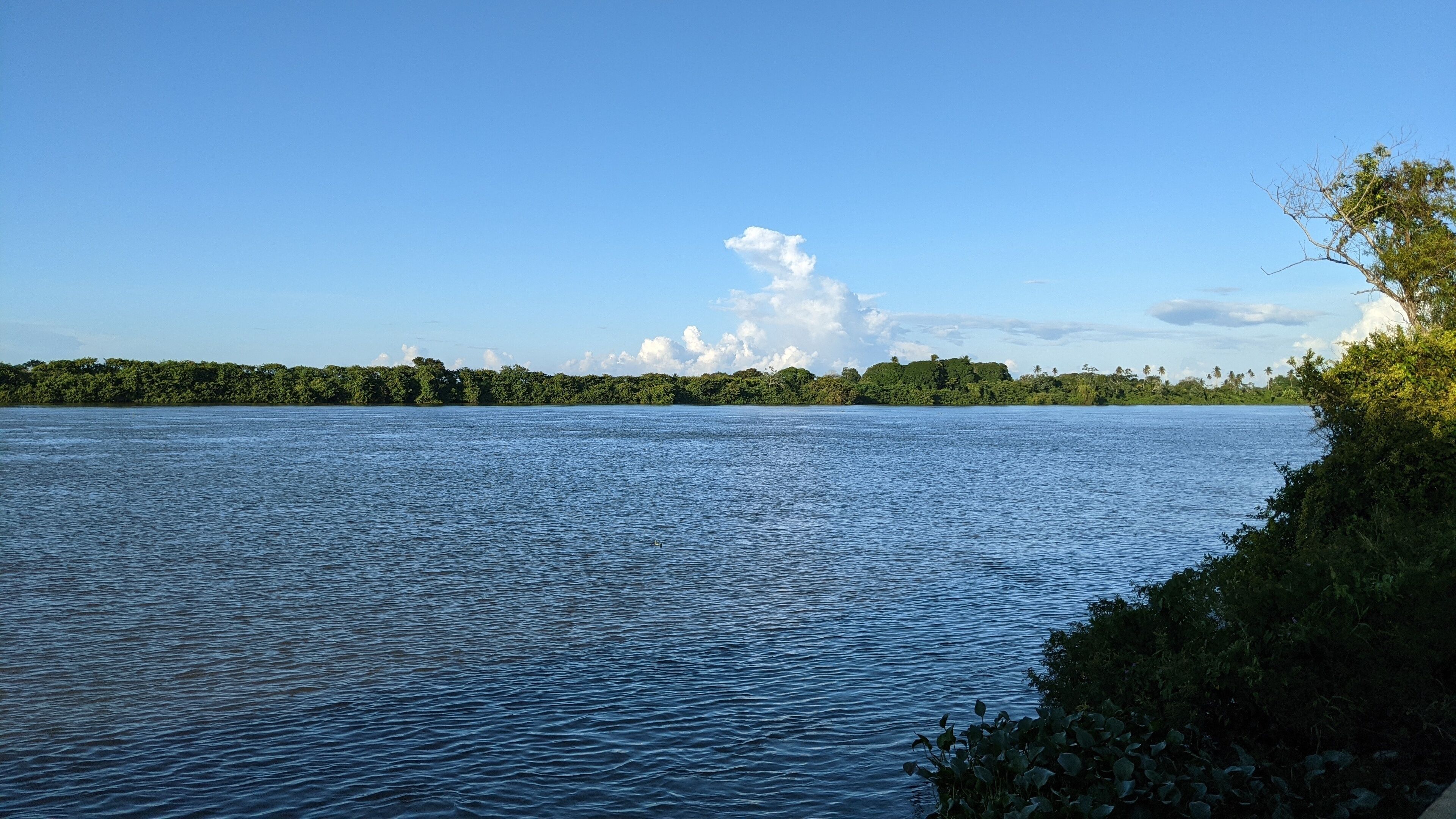landscape with the papaloapan river in the state of veracruz, jungle, rainforest, natural reserve