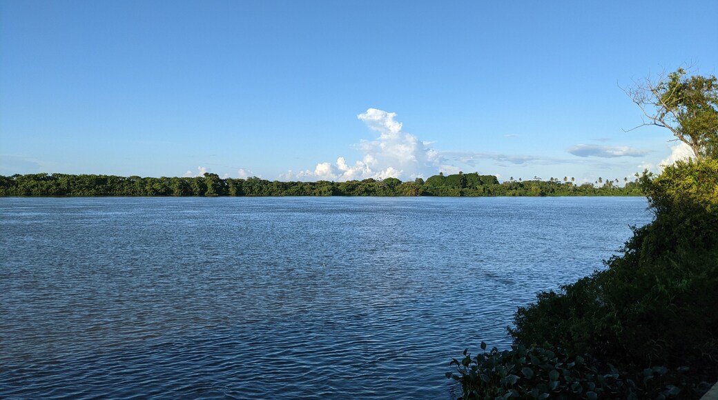 landscape with the papaloapan river in the state of veracruz, jungle, rainforest, natural reserve