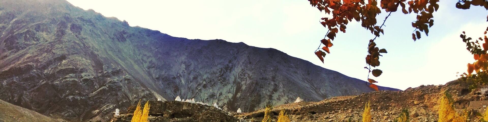 Autumn is the Indus Valley. Ladakh is one the highest inhabited places in the world. Deep in the high Himalayas at 12800 ft above sea level we have our share of nature and it’s colours.