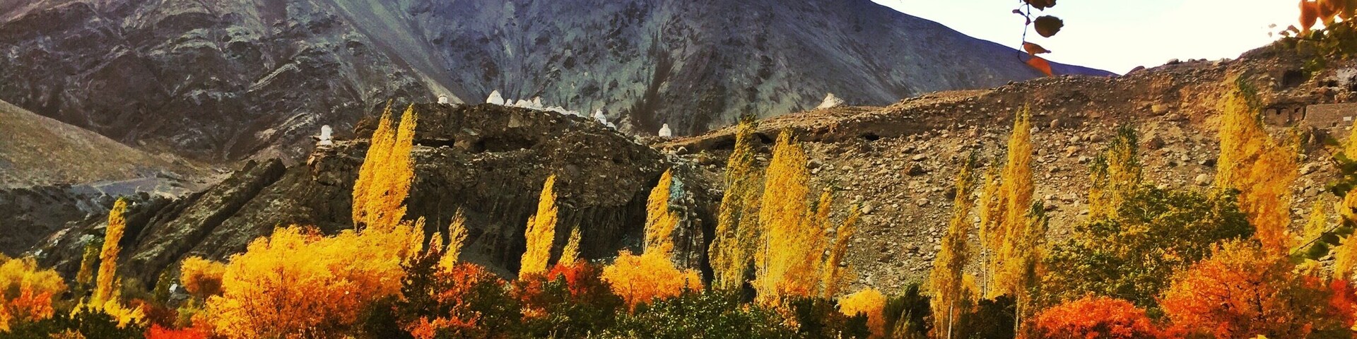 Autumn is the Indus Valley. Ladakh is one the highest inhabited places in the world. Deep in the high Himalayas at 12800 ft above sea level we have our share of nature and it’s colours.