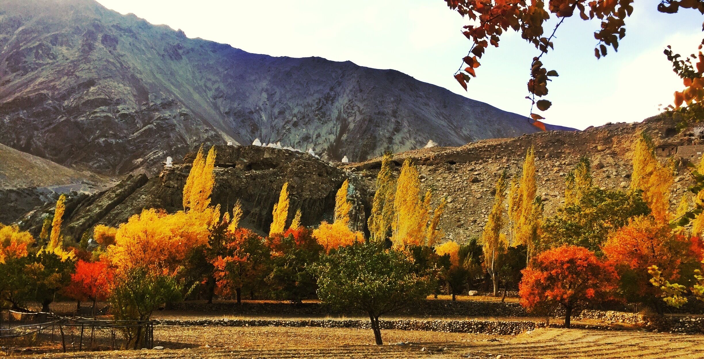 A mountainous landscape with autumn-colored trees and a stone wall.