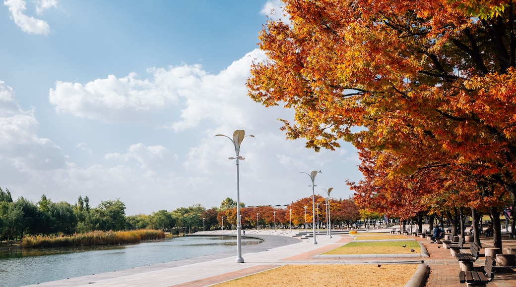 World Cup Park, Pyeonghwa park at autumn in Seoul, Korea