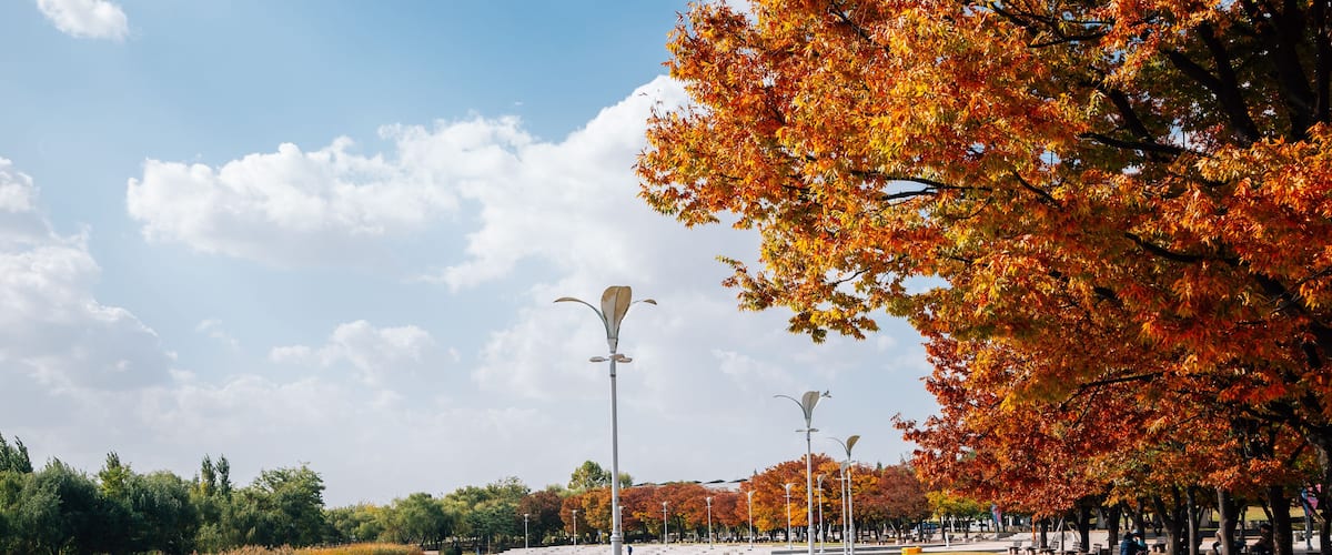 World Cup Park, Pyeonghwa park at autumn in Seoul, Korea