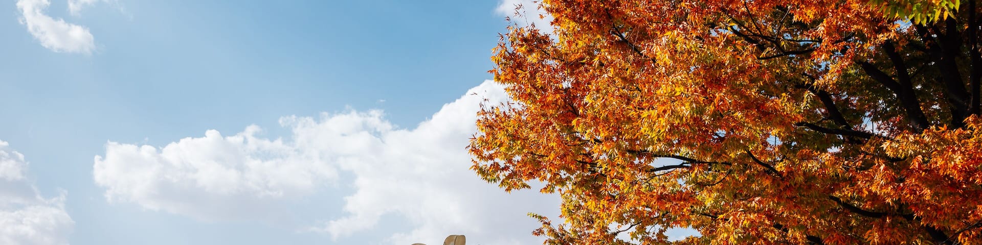 World Cup Park, Pyeonghwa park at autumn in Seoul, Korea