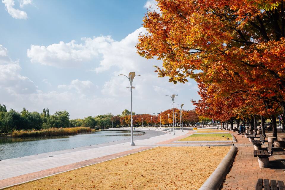 A park with a paved walkway, benches, a pond, and trees with autumn leaves.
