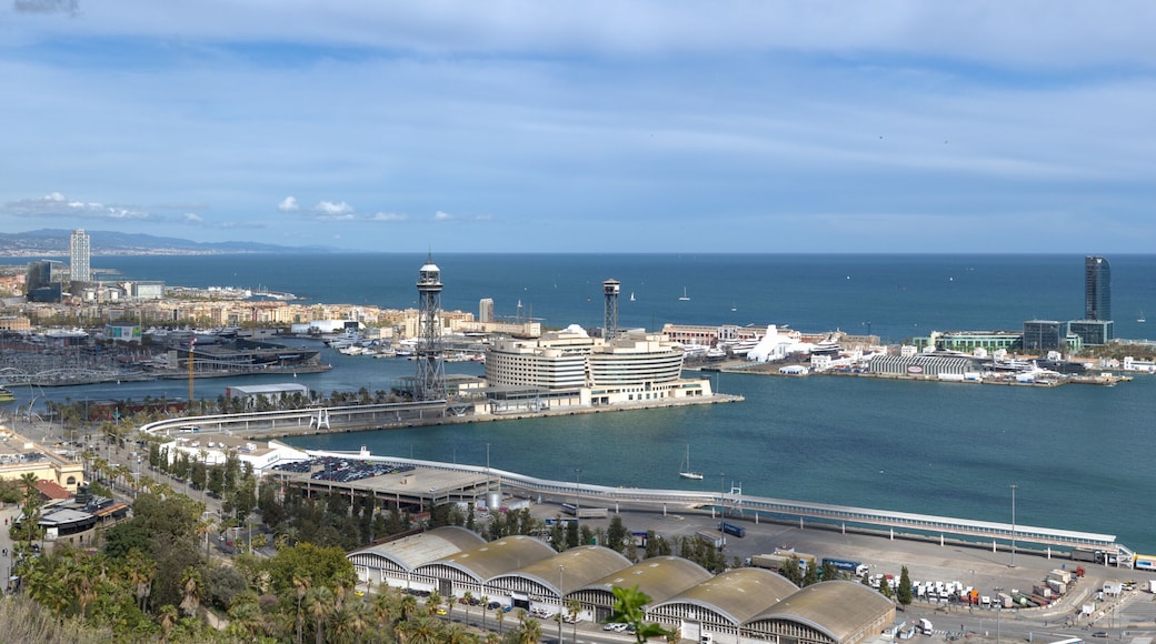 Barcelona, Spain: aerial view of harbor, seen from Montjuic