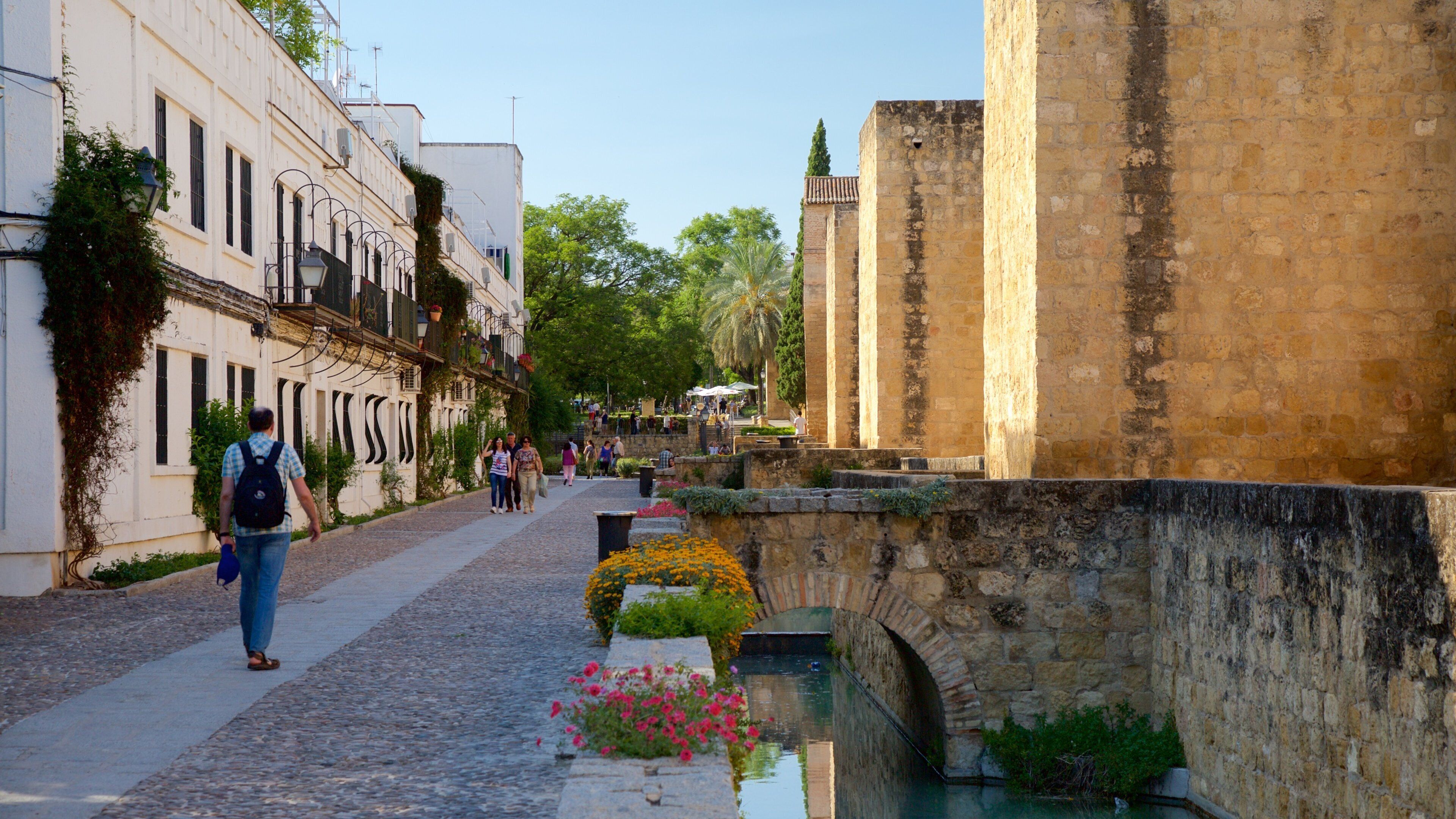 Cordoba featuring street scenes and a small town or village