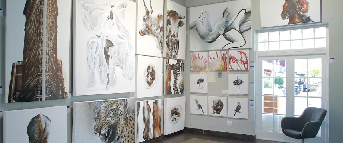 Franschhoek showing interior views and art