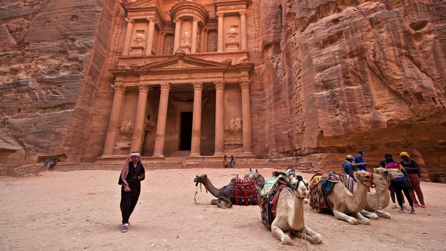Wadi Musá que incluye un barranco o cañón, patrimonio de arquitectura y animales terrestres