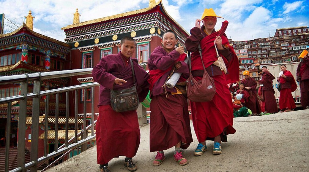 Lost in the red houses of #Sertar,lost in the Larung Gar Buddhist Academy,the biggest Buddhist school in the world.
https://twitter.com/Beautifulgx