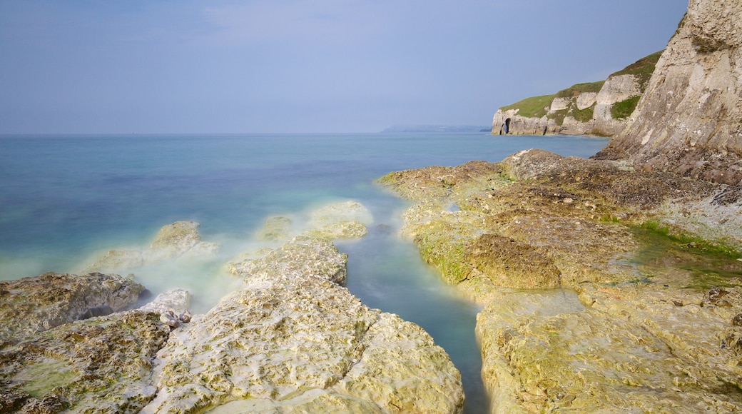 White Rocks Beach featuring rugged coastline and general coastal views