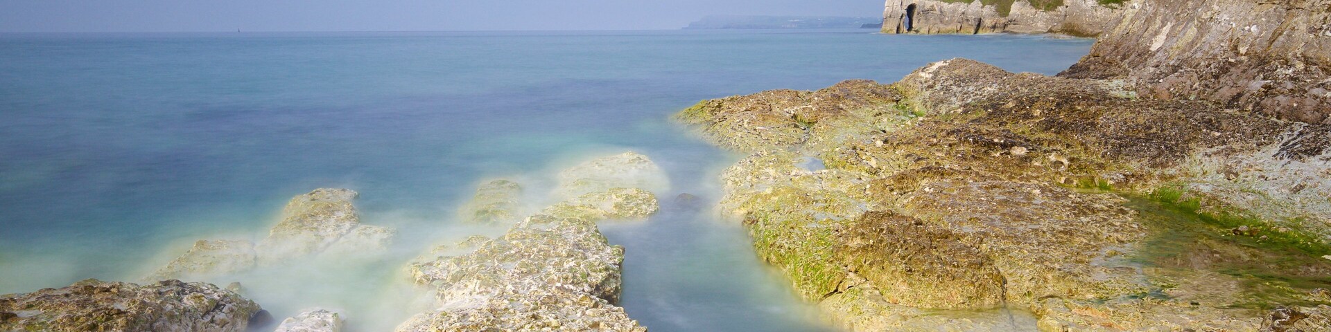 White Rocks Beach featuring rugged coastline and general coastal views