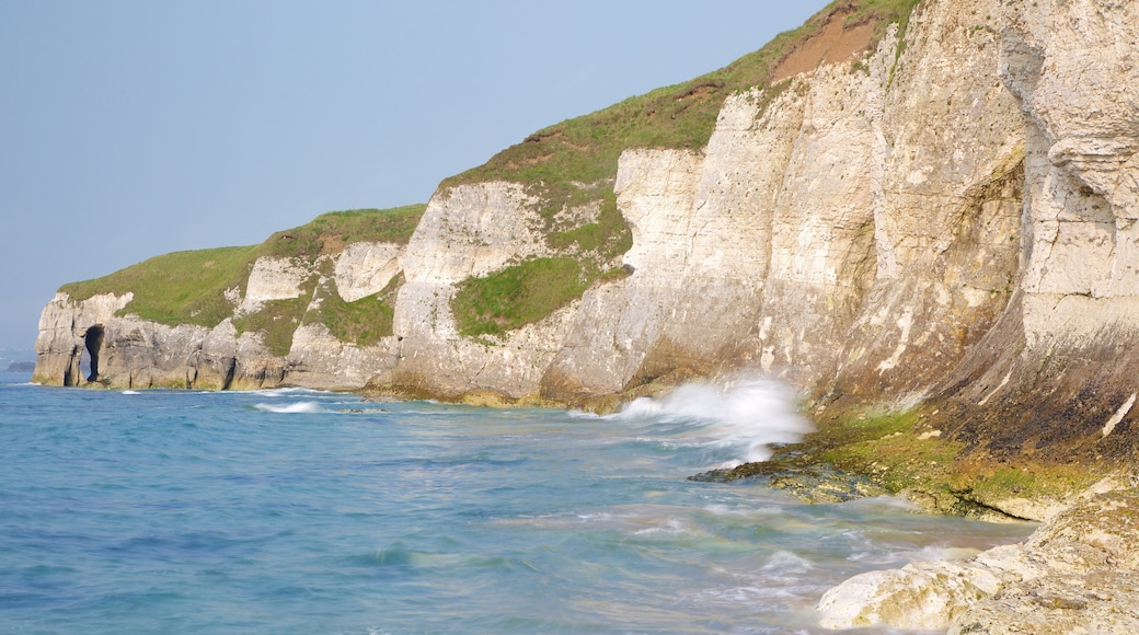 普特拉什 设有 一般的海岸景觀 和 岩岸