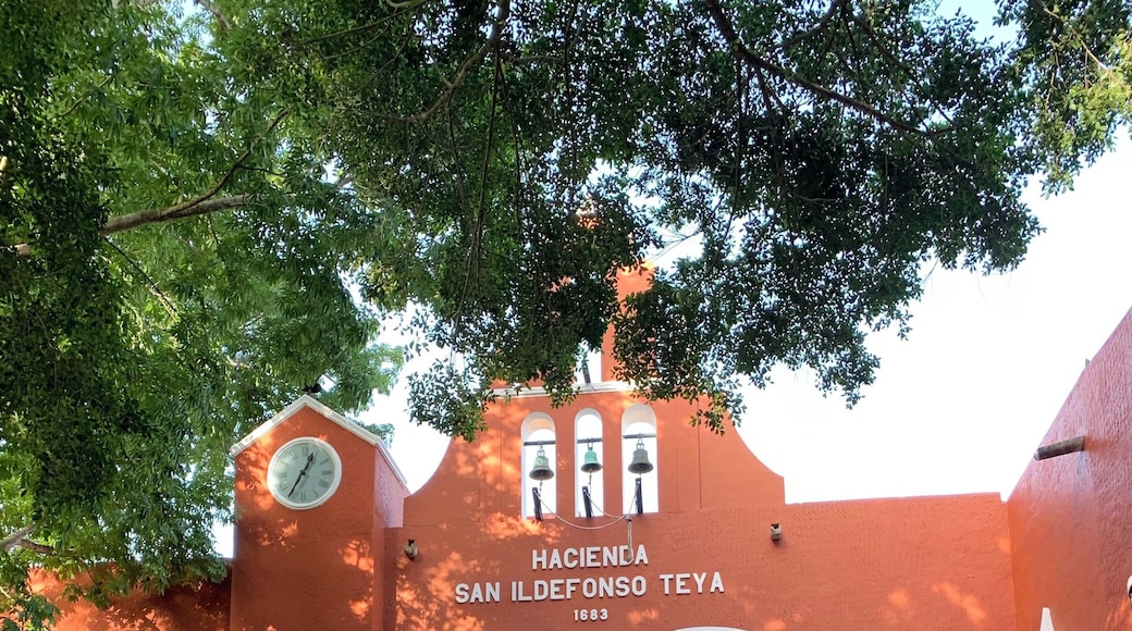 Hacienda Teya