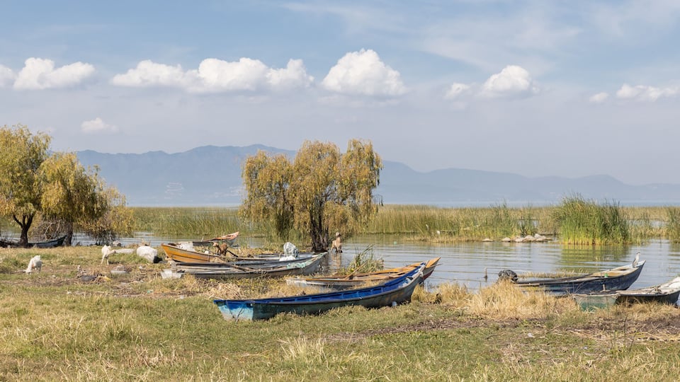 A calm lake with several boats, trees, and distant mountains.