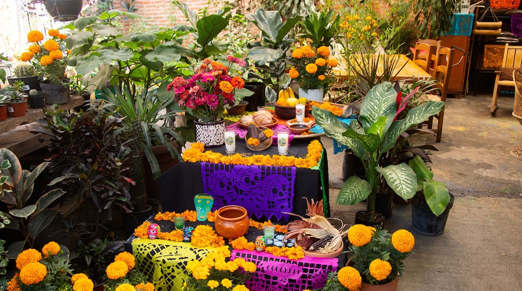 Mexico City, Mexico; November 1, 2024: Street altar to celebrate the Day of the Dead in the Romita neighborhood.