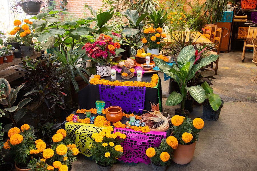 Mexico City, Mexico; November 1, 2024: Street altar to celebrate the Day of the Dead in the Romita neighborhood.
