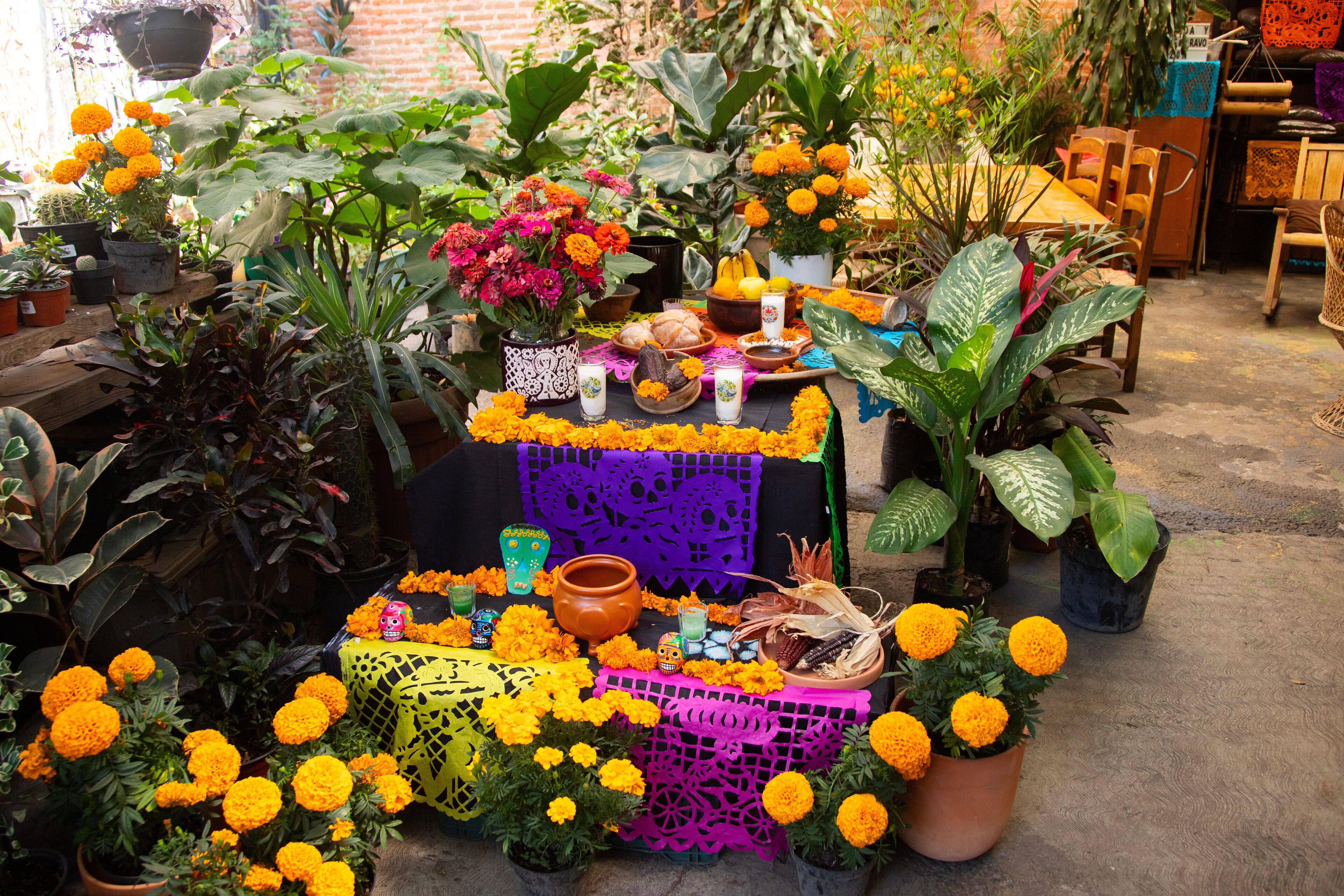 A vibrant display of marigolds, traditional Mexican crafts, and potted plants.