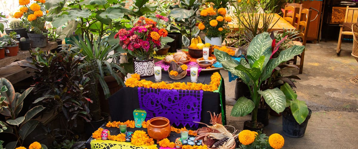 A vibrant display of marigolds, traditional Mexican crafts, and potted plants.