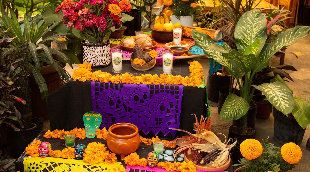 Mexico City, Mexico; November 1, 2024: Street altar to celebrate the Day of the Dead in the Romita neighborhood.