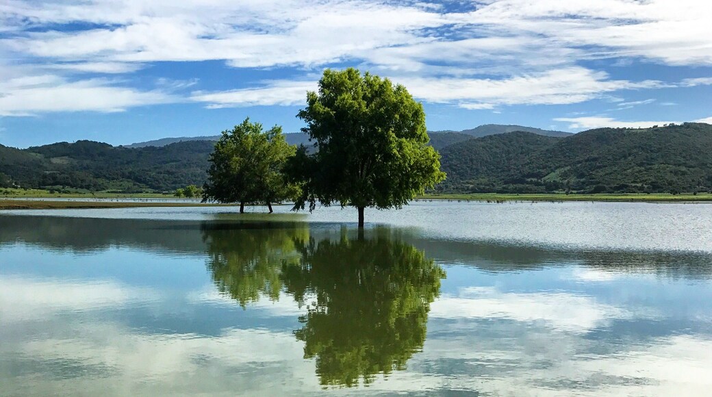 Amatenango del Valle
