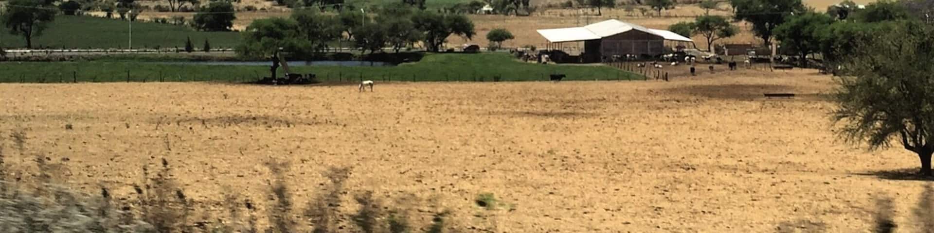 Mexico's countryside