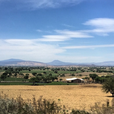 Mexico's countryside