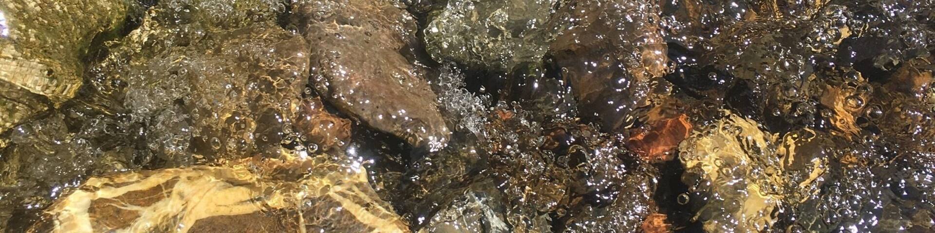 Amazing canyon just a short drive away from the city