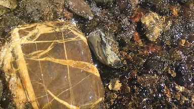 Amazing canyon just a short drive away from the city