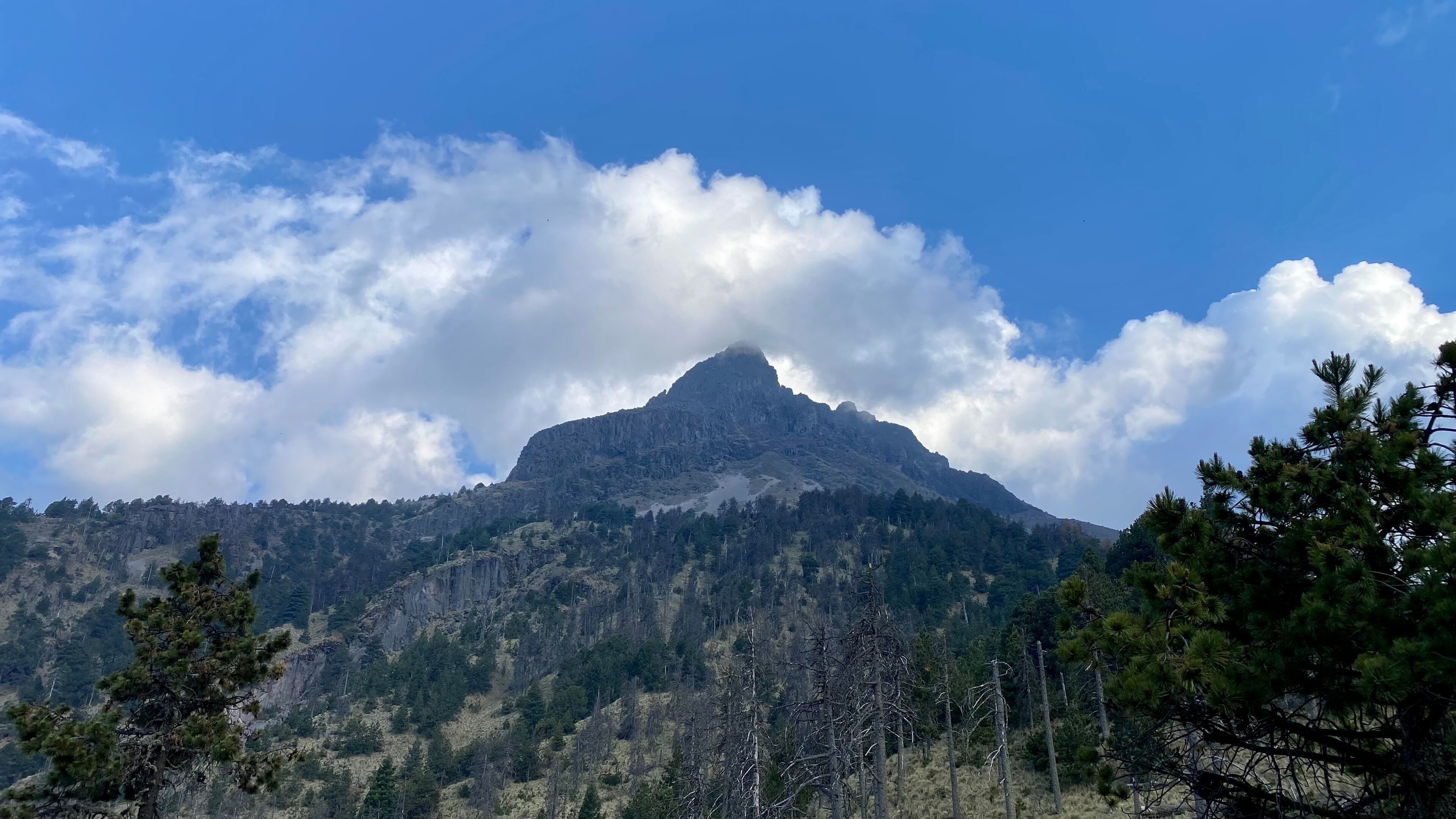 Nature photography in Nevado de Colima in Jalisco, Mexico