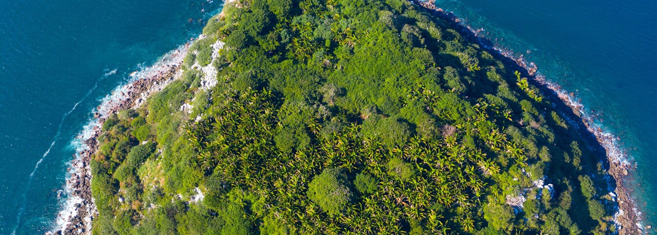 An aerial view of a lush, green island surrounded by clear blue waters.