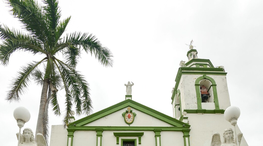 Our Lady of the Rosary Church, Alvarado, Mexico