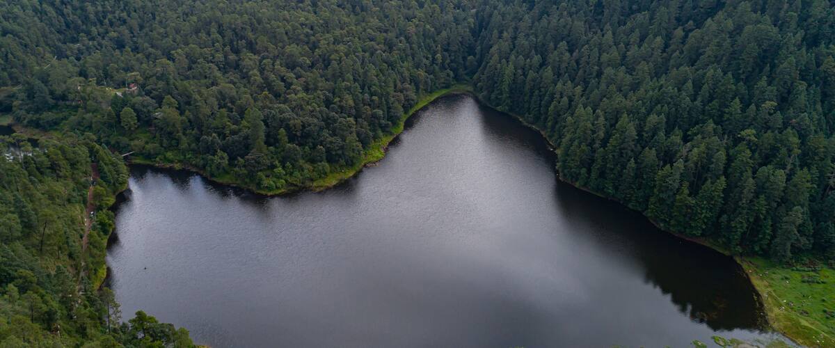A lake surrounded by dense forest.