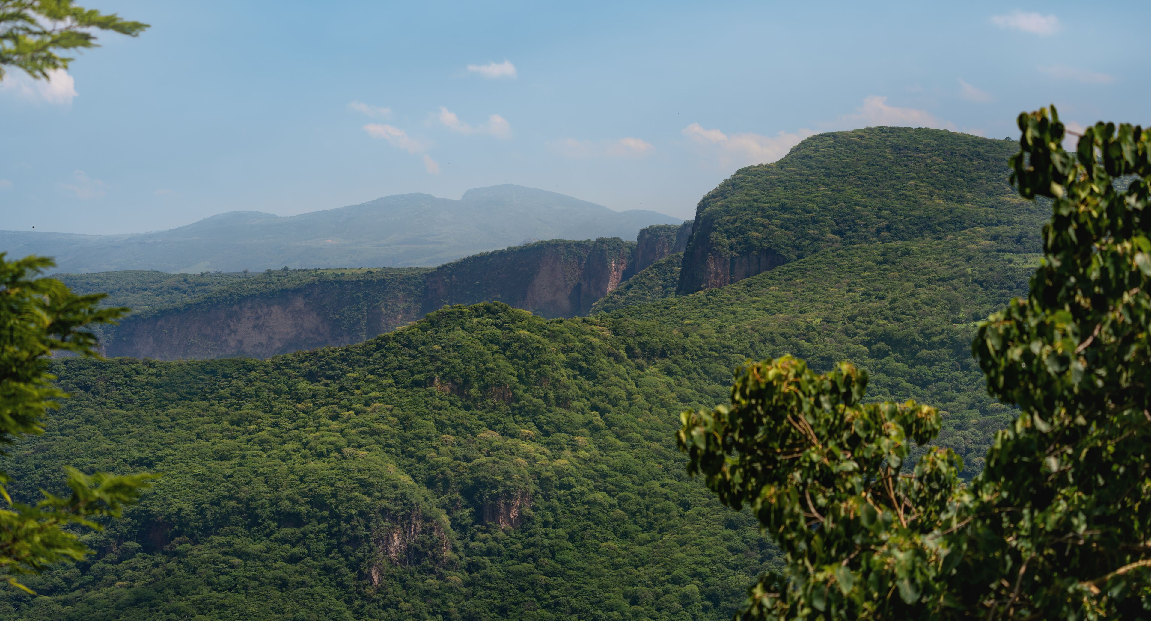 A lush green landscape with a prominent cliff and distant mountains.