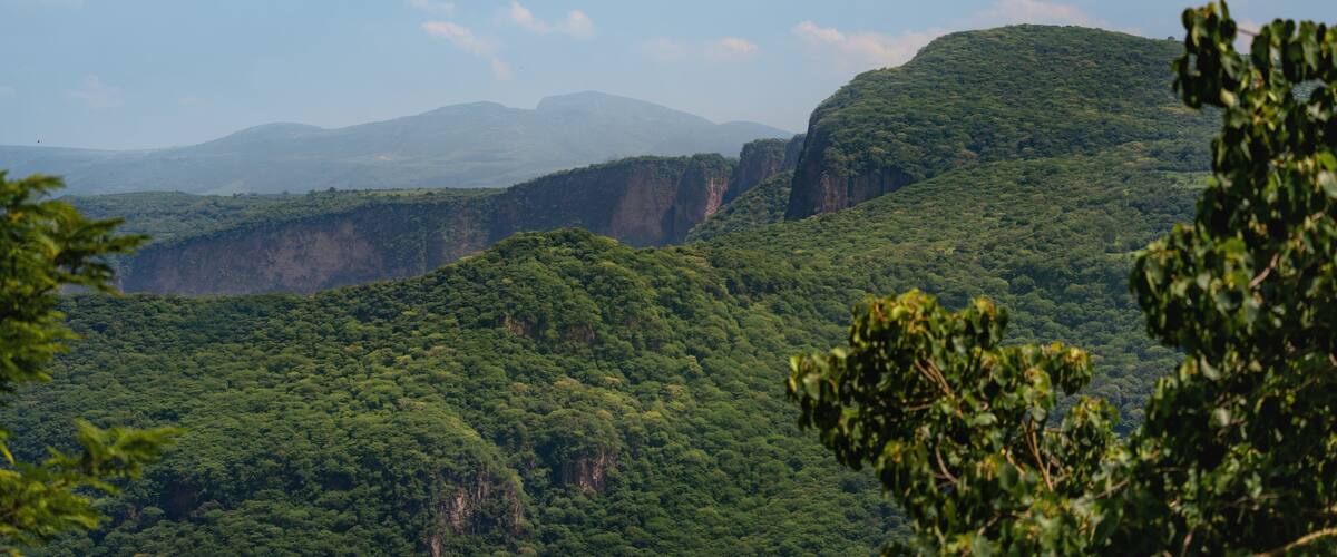 A lush green landscape with a prominent cliff and distant mountains.